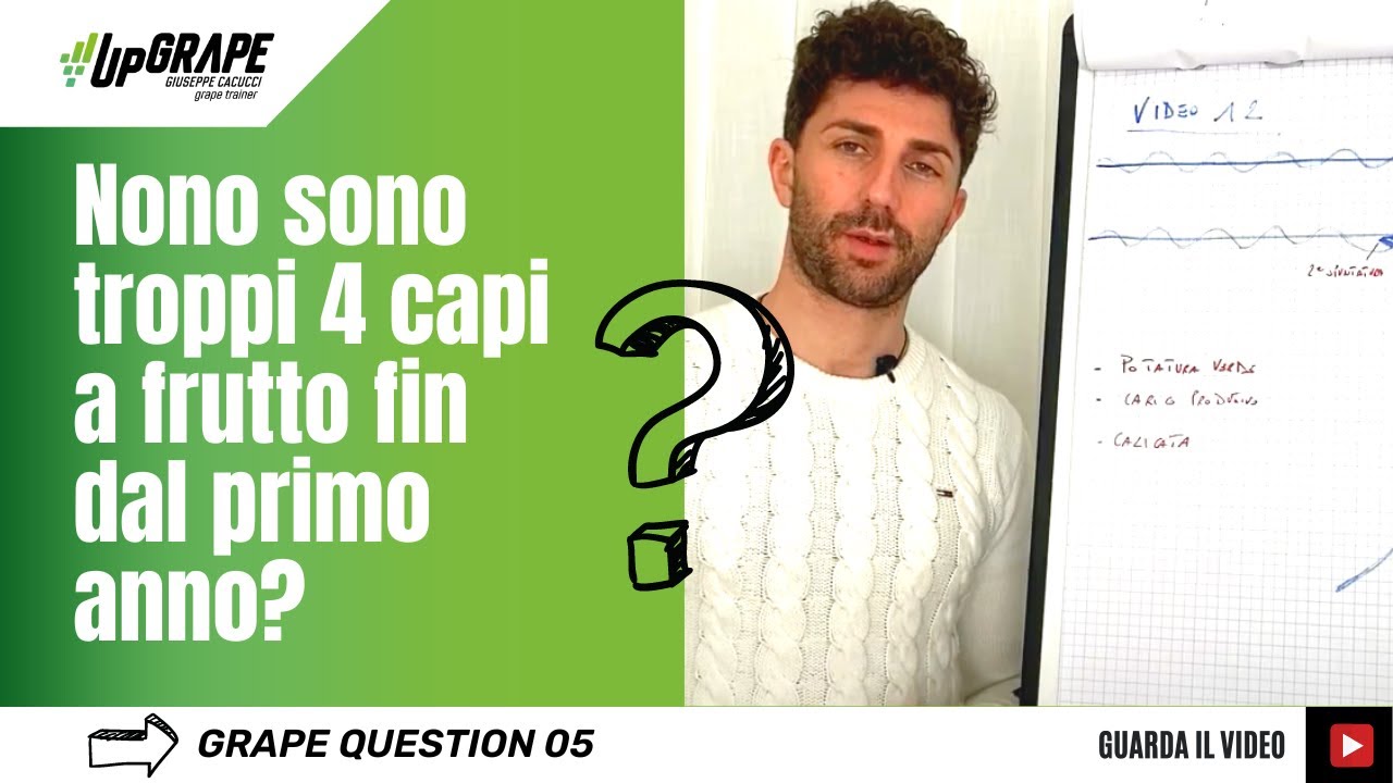 Grape Question - Impalcatura e gemme delle piante di vite da uva da tavola