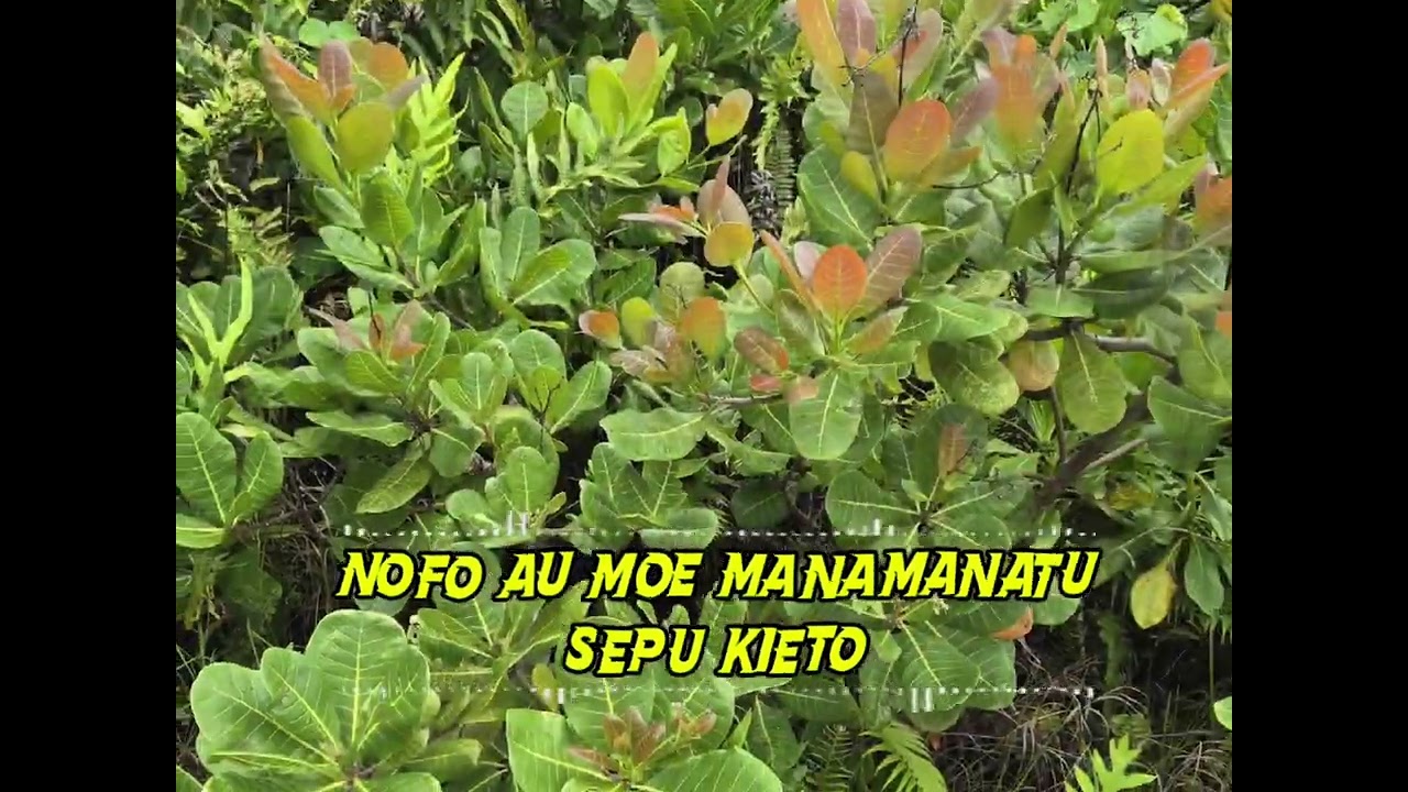 Nofo Au moe Manamanatu (Cover) - Sepu Kieto