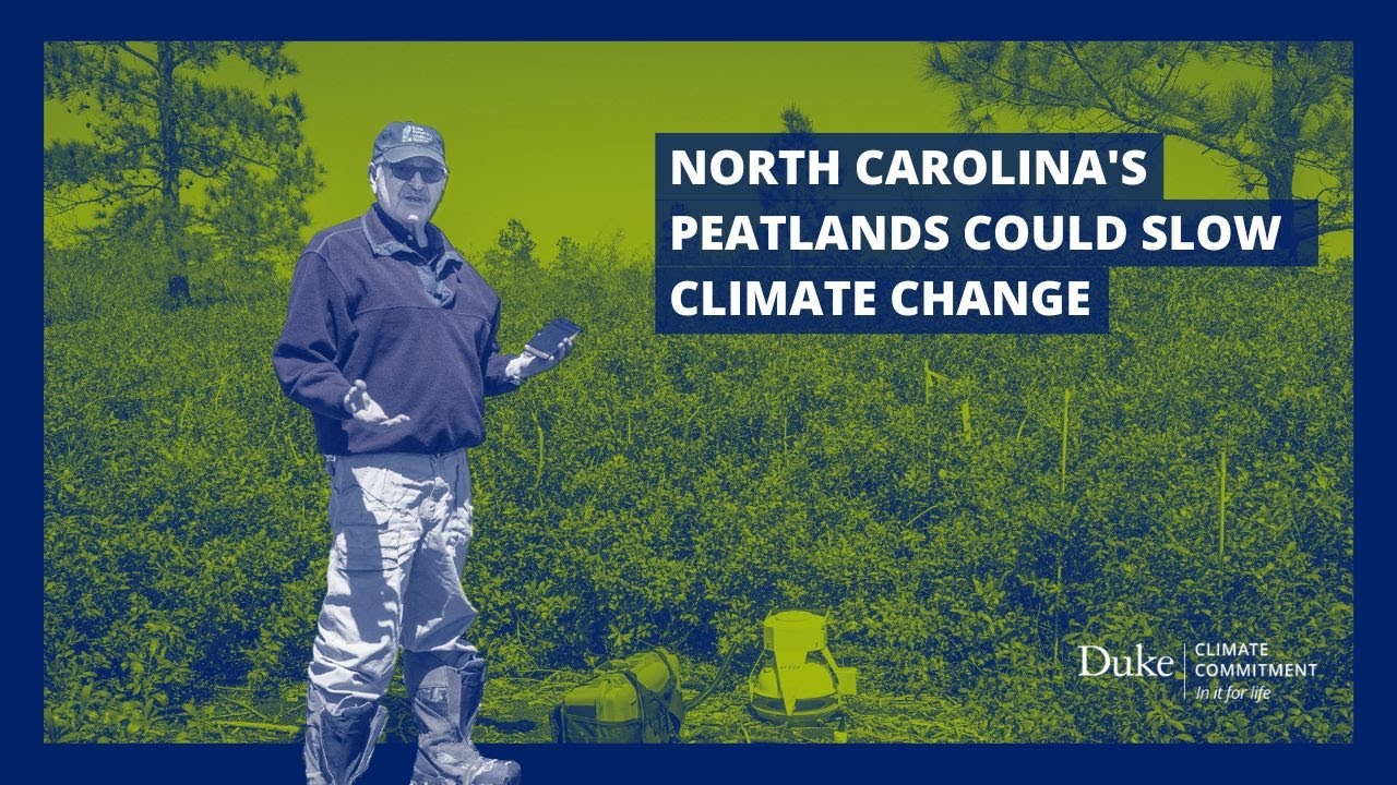 Controlling Climate Through North Carolina's Peatlands