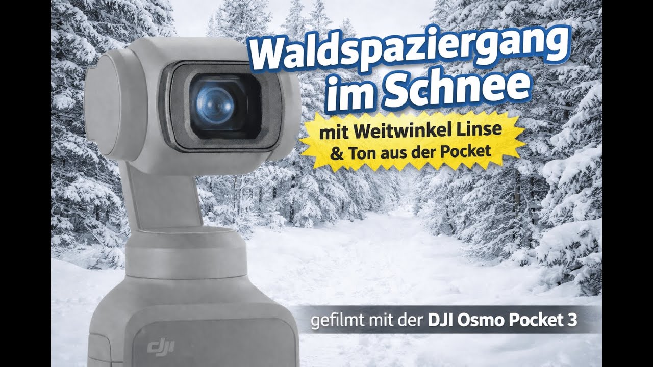 WALDSPAZIERGANG DURCH DEN SCHNEE #1 - DJI OSMO POCKET 3 / WEITWINKEL LINSE