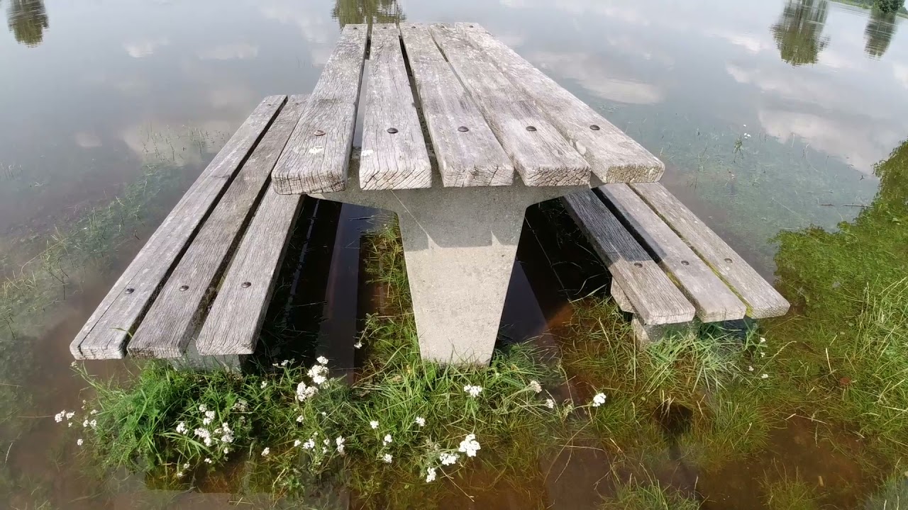 Het hoge water in de Maas heeft bij ons de piek bereikt.