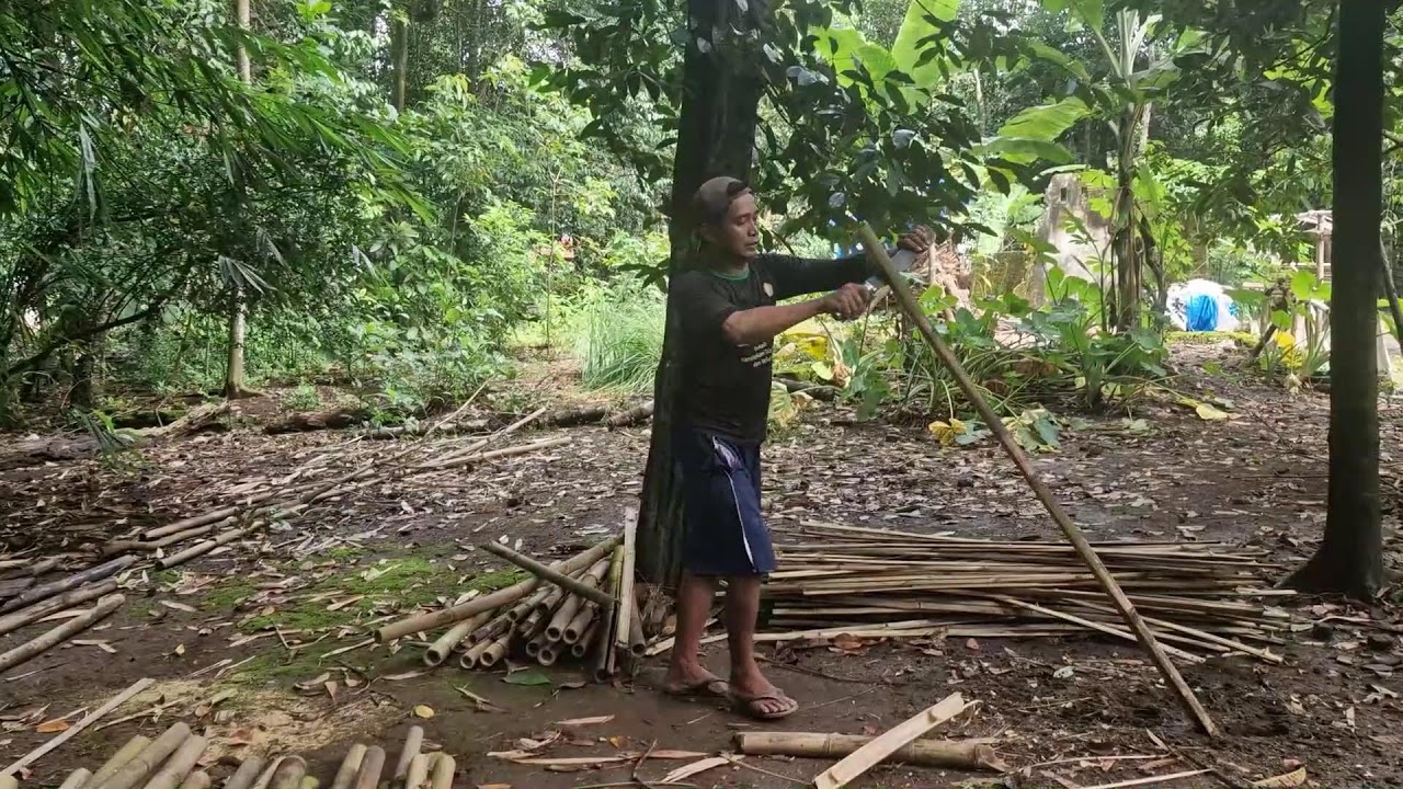 SMART TRICK: EASILY SPLIT BAMBOO USING A SUPER SHARP TOOL! - Agriculture Farming