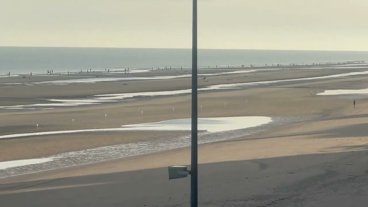 CHAMPIONNAT DE PECHE EN MER ADULTES  Bray Dunes 2025