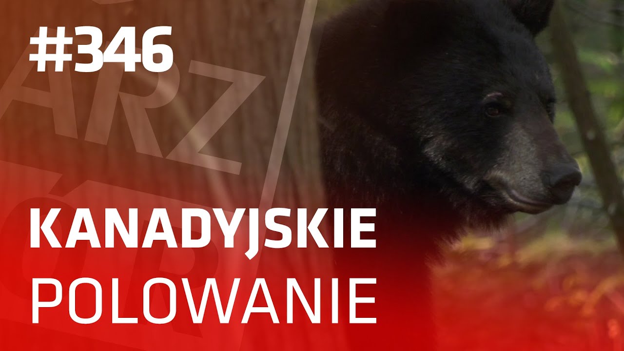 Darz Bór odc 346 - Kanadyjskie polowanie