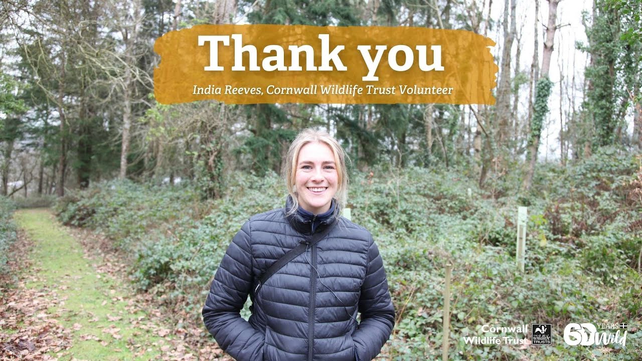 Thank you to India Reeves, Cornwall Wildlife Trust Volunteer