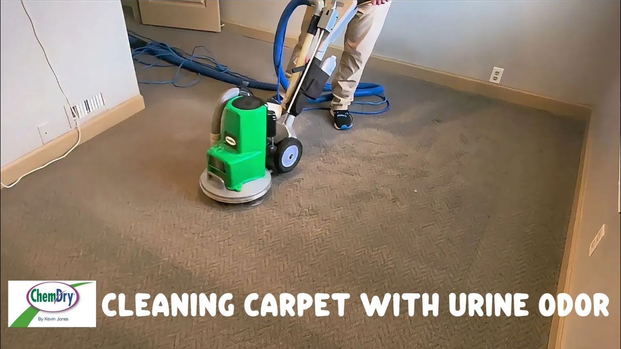 Reviving Berber Carpet: Eliminating Dog Urine Odor with P.U.R.T. | ChemDry by Kevin Jones