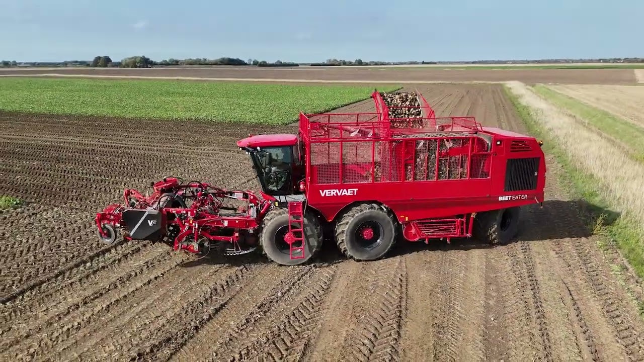 New 2025 Vervaet Beet Eater 625 in action | Supplied by J Riley Beet Harvesters (UK) Ltd
