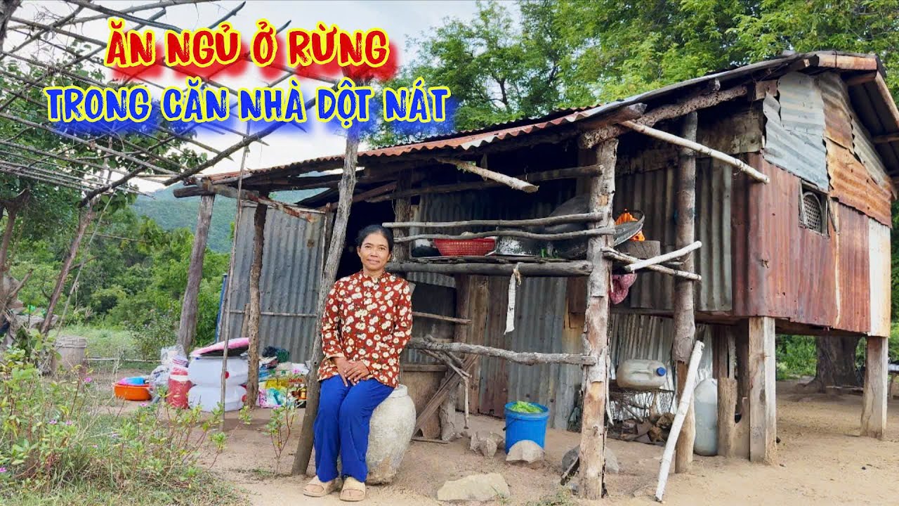 CĂN NHÀ nhỏ nằm treo leo giữa núi rừng, nơi TRÚ ẨN của người nghèo - tập 1435