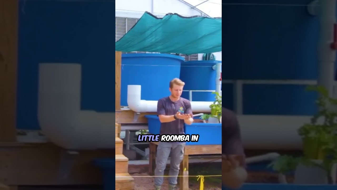 Red Wiggler Worms: Aquaponics Farming Secrets