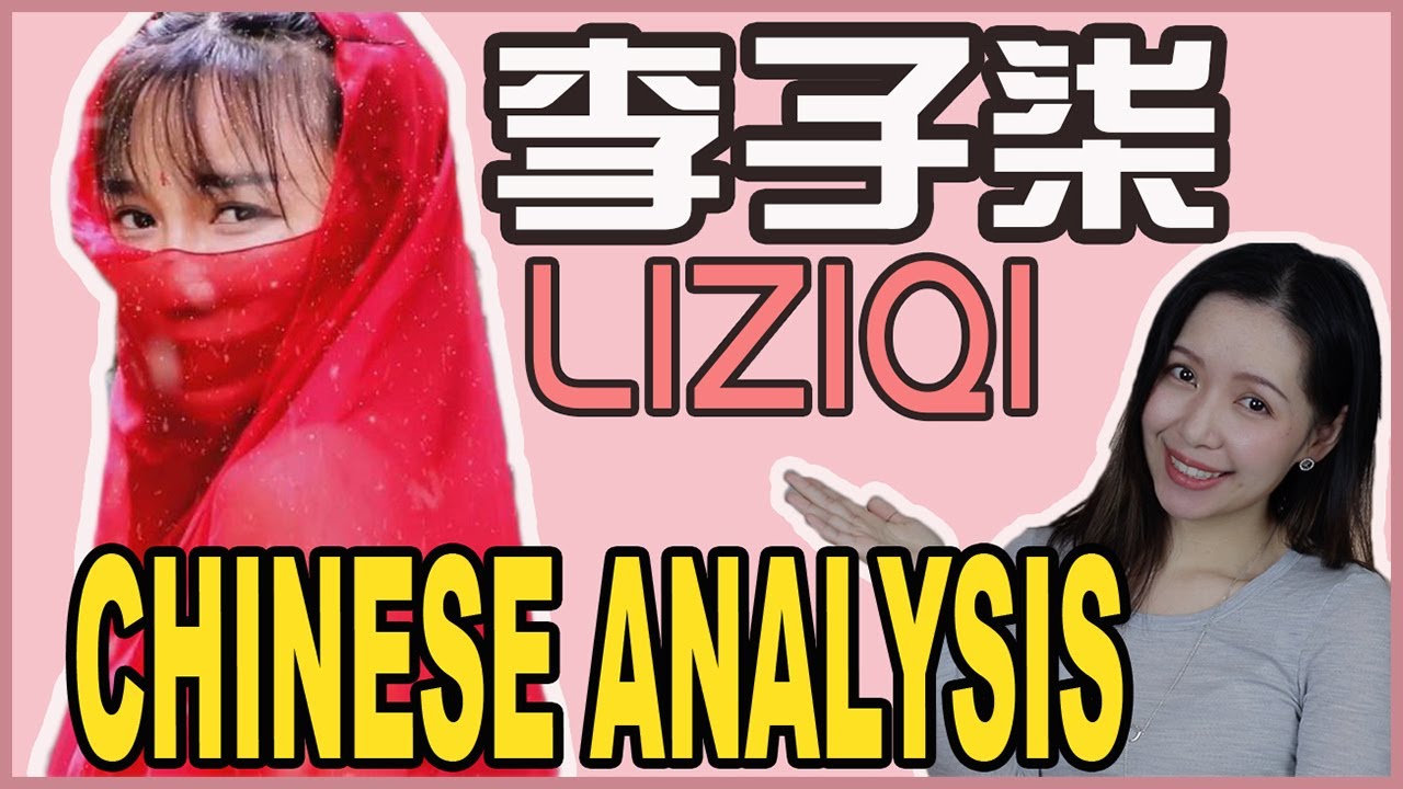 LIZIQI李子柒 CHINESE ANALYSIS | Learn Chinese With LiZiQi