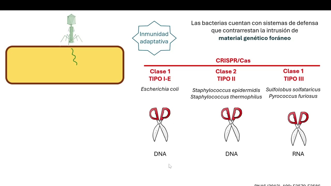 Crispr/Cas, introducción a edición de genomas - Parte 1