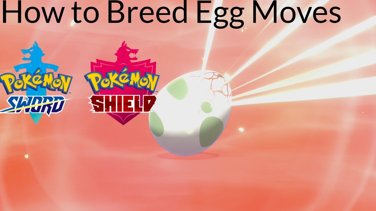 Pokemon Sword and Shield - How to Breed Egg Moves