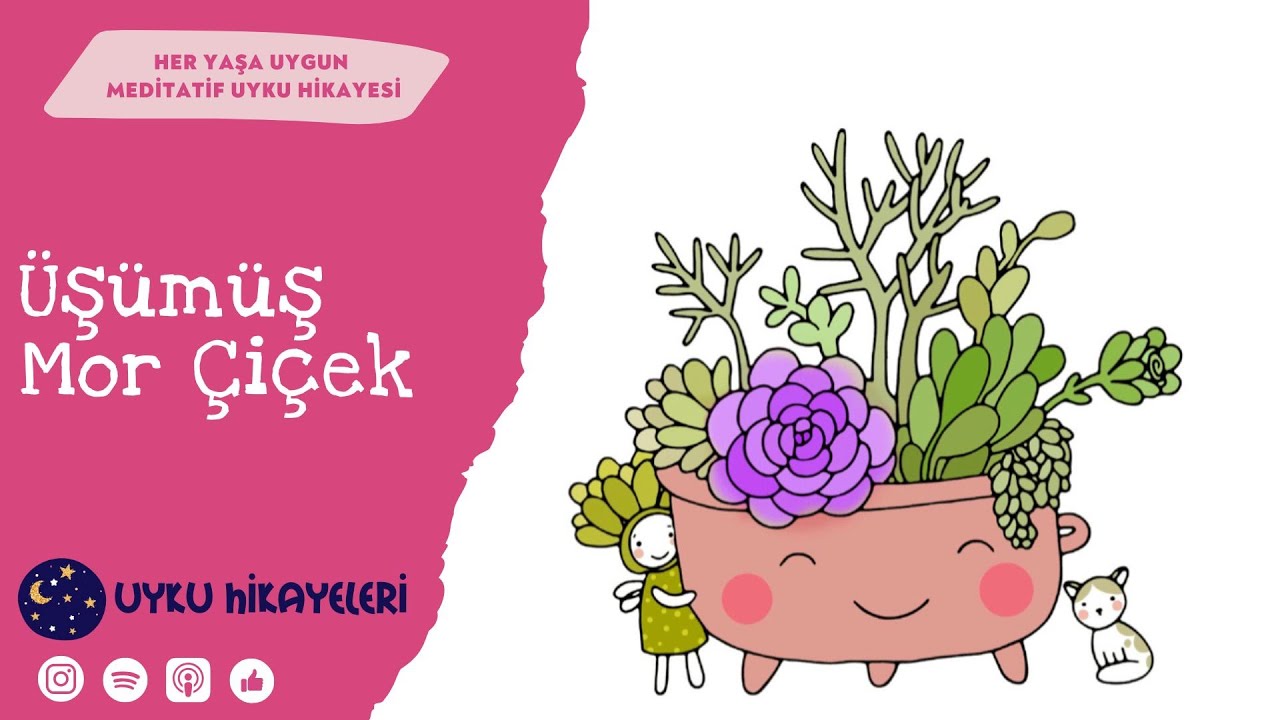 Üşümüş Mor Çiçek