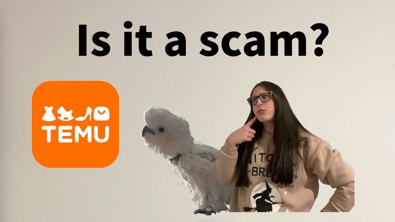 Buying bird toys from TEMU(not sponsored)!! Is it a scam? #cockatoobird #temu #bird #toys