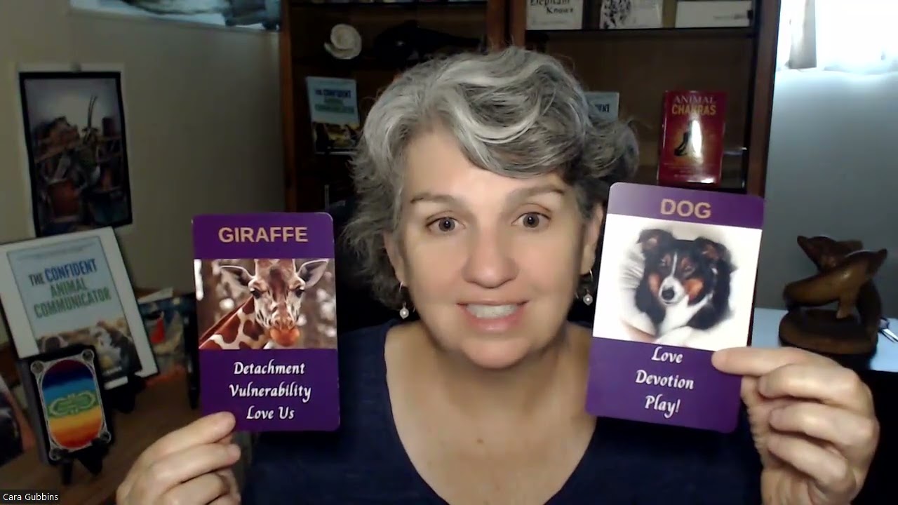 Open Your Heart But Don't be Attached: September 2023 Forecast with Animal Wisdom Oracle Cards