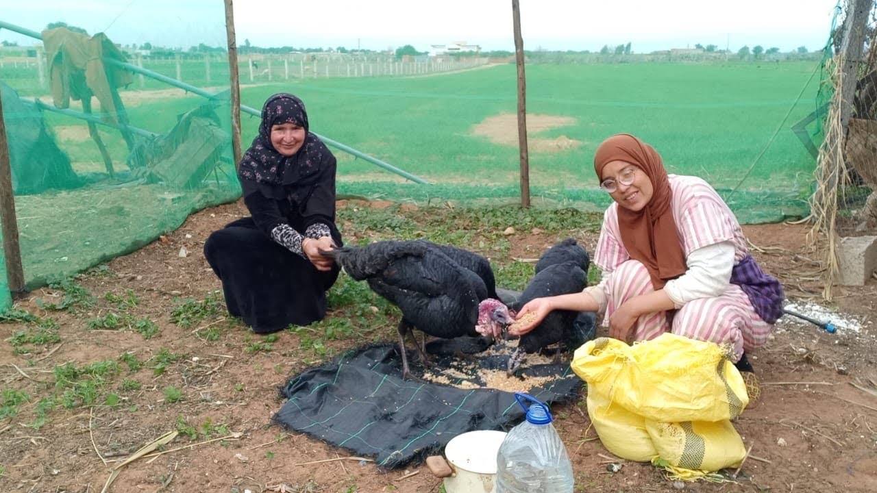 كيف صبح بيبي البلدي من بعد ماشراتو سميرة من السوق وشنو وكلاتو فاول نهار ليه عندنا