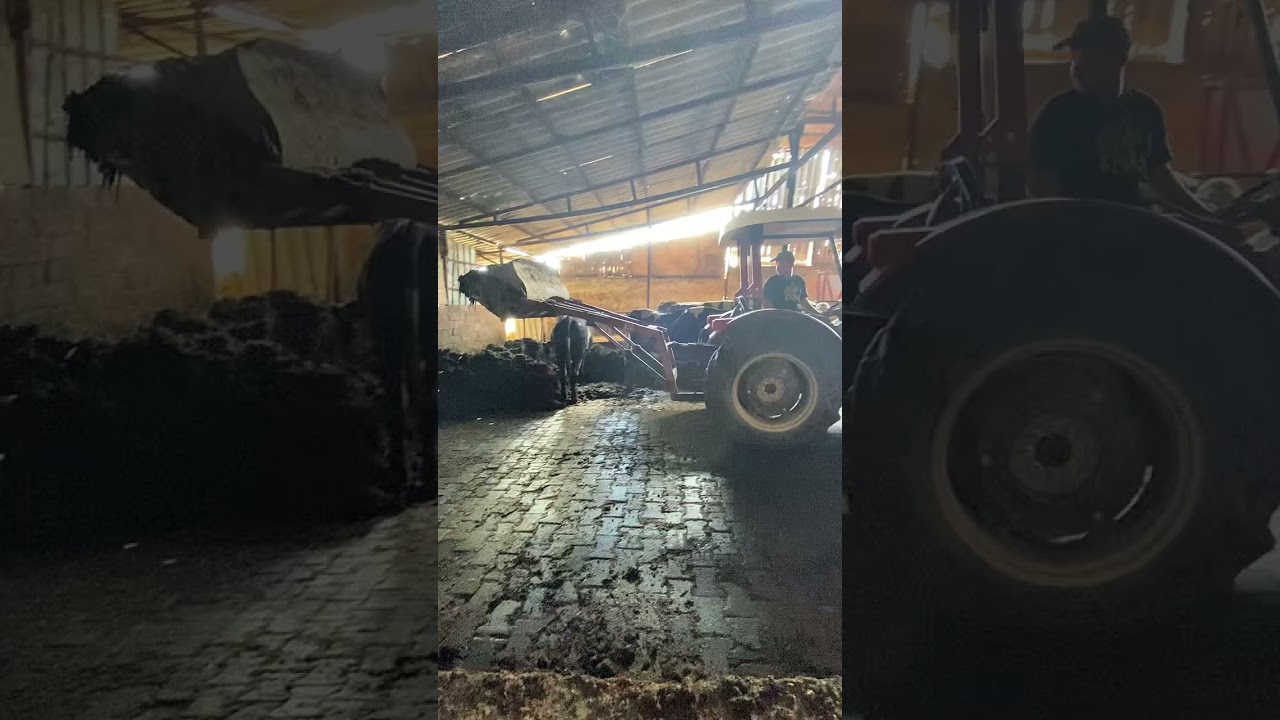 Temizlik şart
