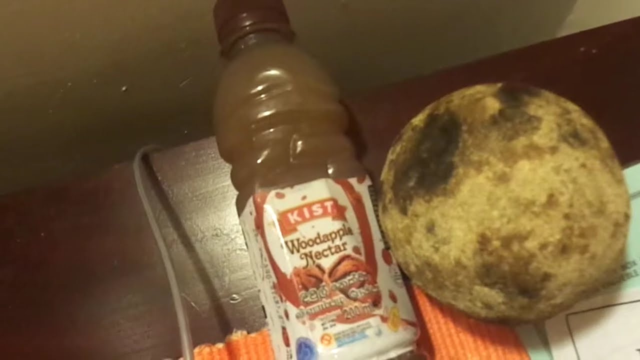 Wood apple Sri Lanka Уникальное деревянное яблоко которое растет только здесь