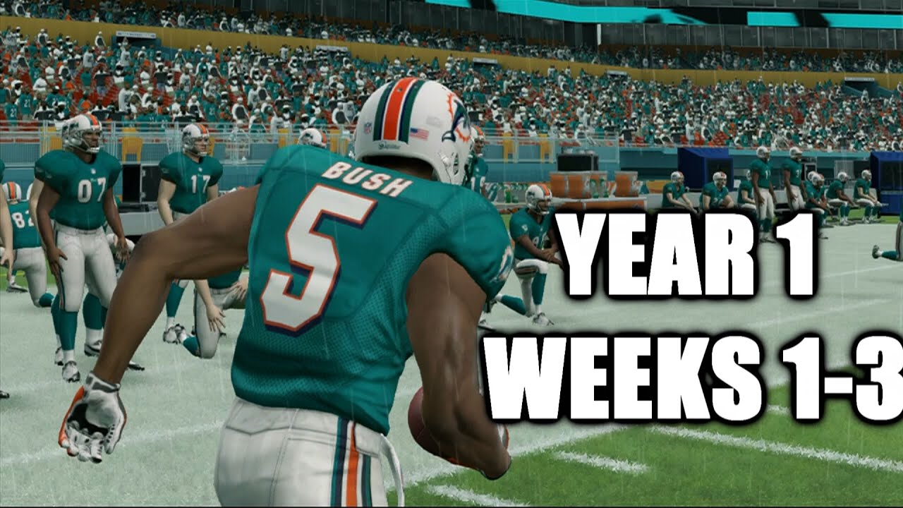 A ROSTER OF MISFITS MADDEN 13 DOLPHINS FRANCHISE
