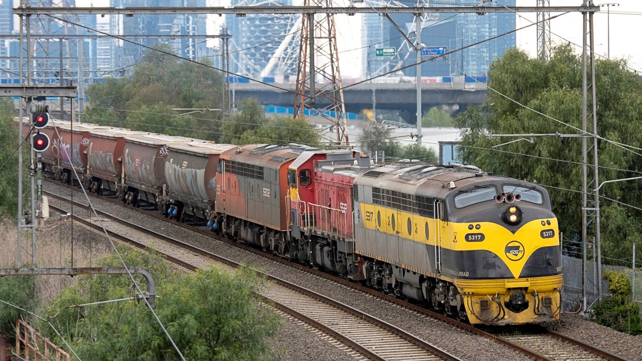 Vintage Australian EMD Power Show! (SSR's 9096 grain ex-Piangil) | S302, P17, S317