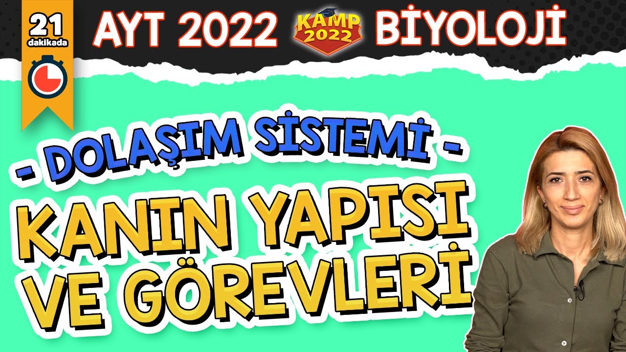 Kanın Yapısı ve Görevleri | AYT Biyoloji #Kamp2022