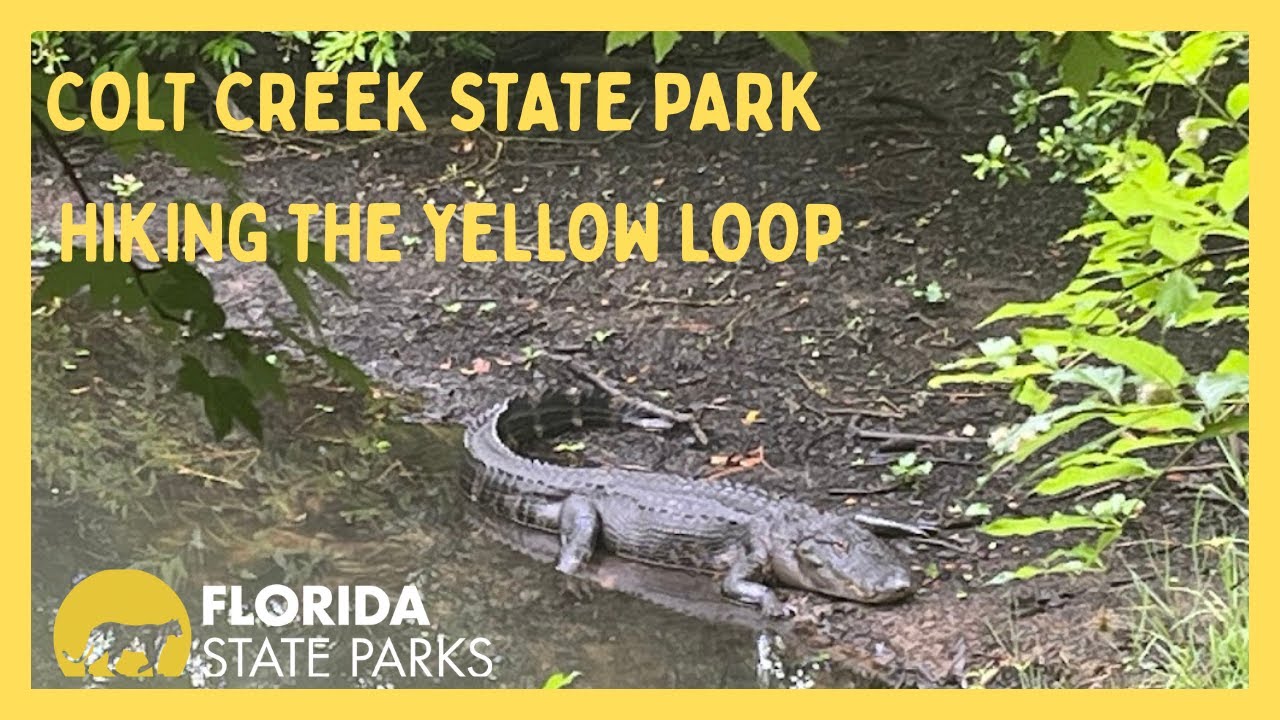 Hiking the Yellow Loop at Colt Creek State Park Lakeland, FL