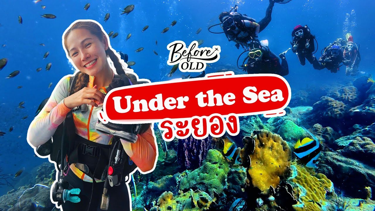 ทะเลระยองดำน้ำได้ด้วยเหรอ? ใต้ทะเลเป็นยังไง…มาดูกัน | BeforeOld× 