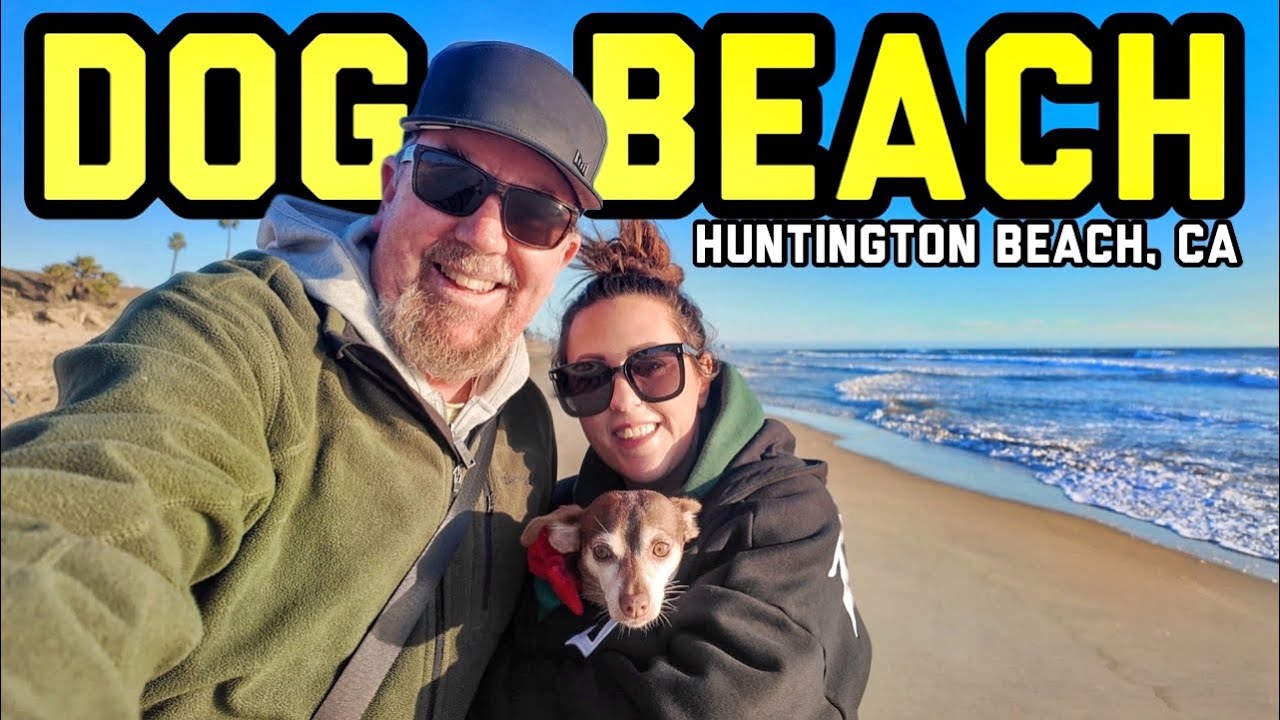 BEACH DAY! Lunch at Pacific City in Huntington,  Dog Beach & Lido Newport Christmas Shopping!