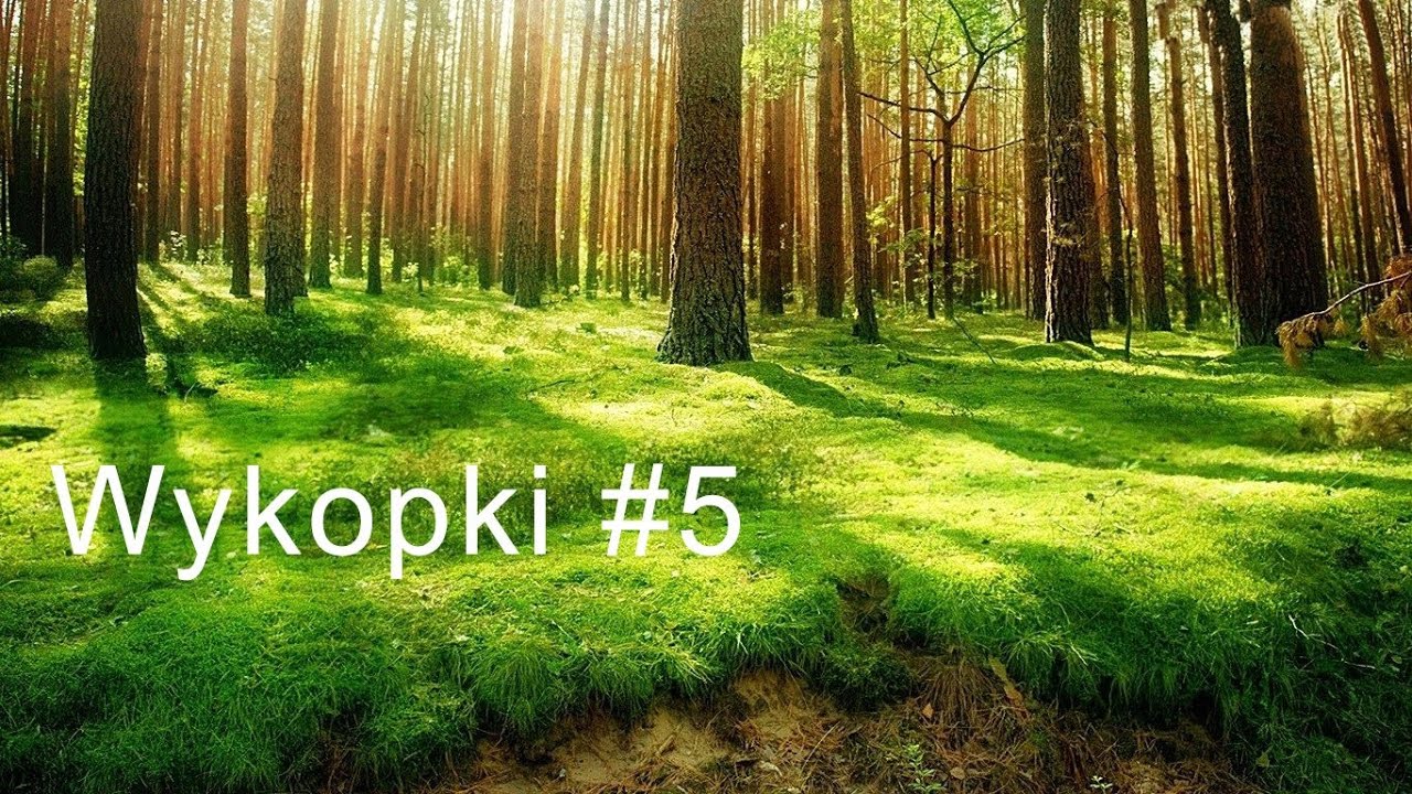 Wykopki wykrywaczem metalu #5