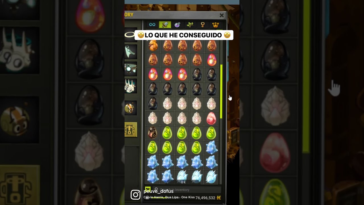 Todos los dofuses que he conseguido con mi team durante 2 años jugando Multi PVM. #dofus #shorts
