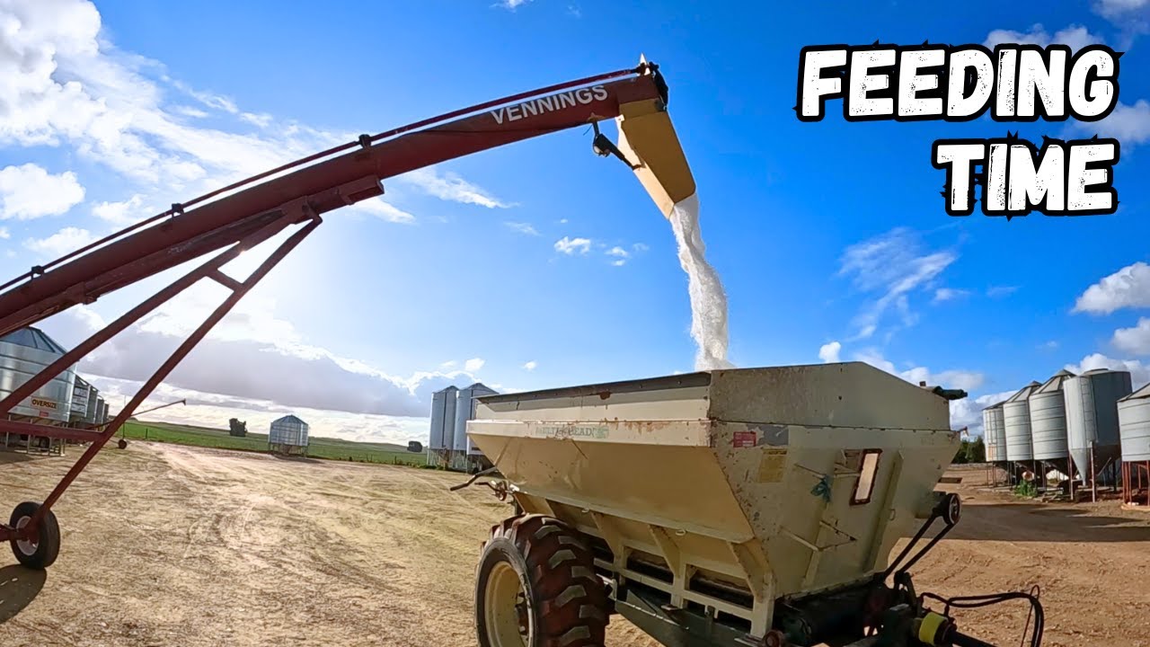 Sometimes You Just Have To Go Where The Farm Takes You | Top Dressing Crops With Urea