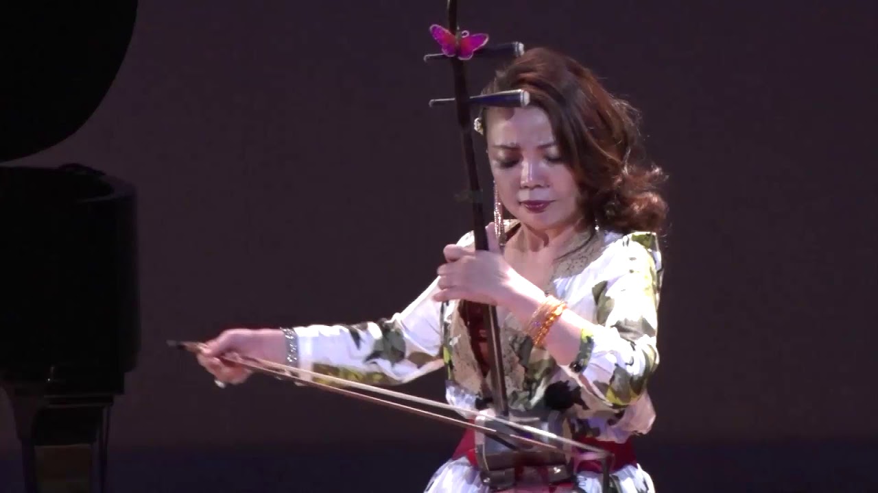 Erhu performance: Moonlight