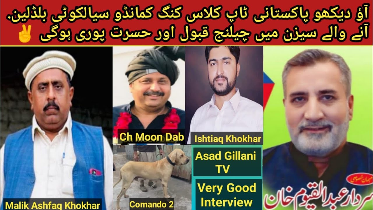 Agya Camando 2 King Comando Sialkoti Blood line Owner Mailk Ashfaq Khokhar Ka Good Interview 