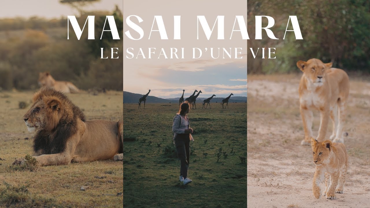 Le safari d'une vie - Masai Mara