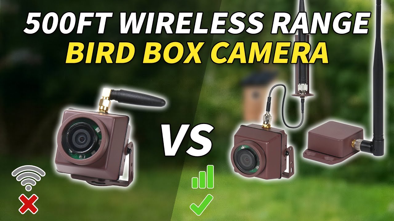 500ft Long Range Wireless Bird Box Camera - No WiFi Needed!