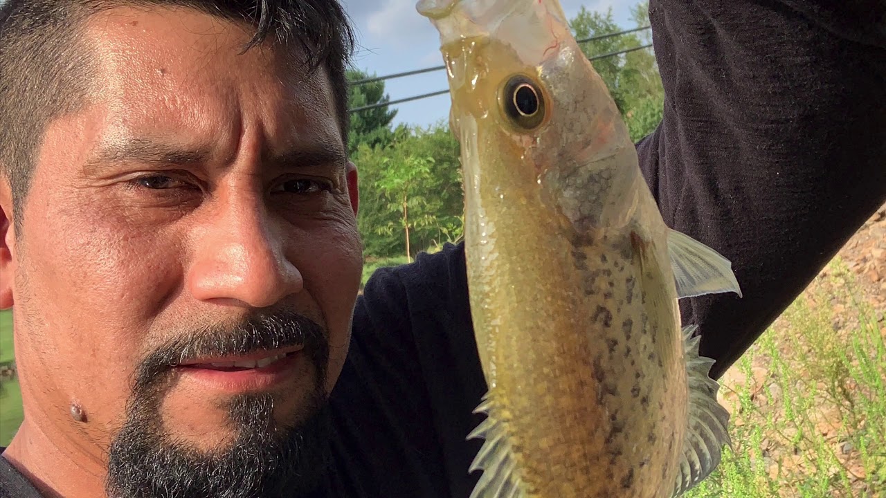 Mi pesca