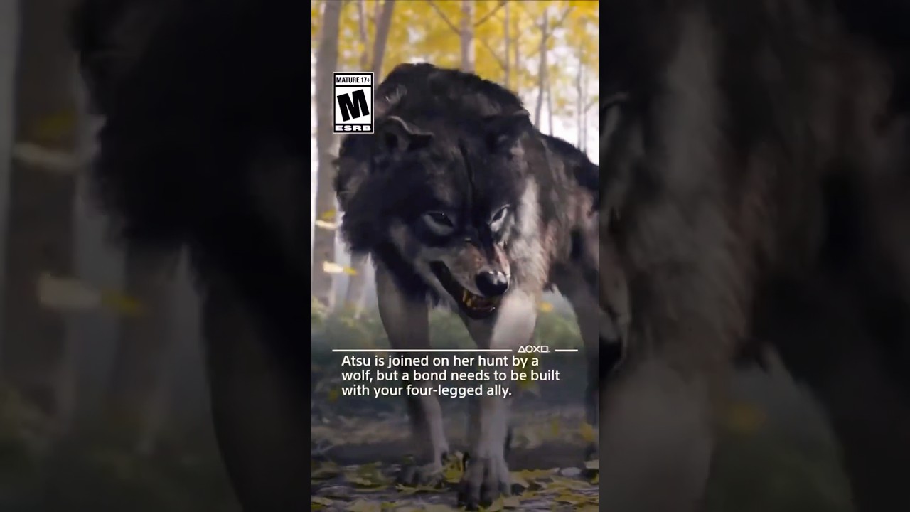 Ghost of Yotei  wolf companion