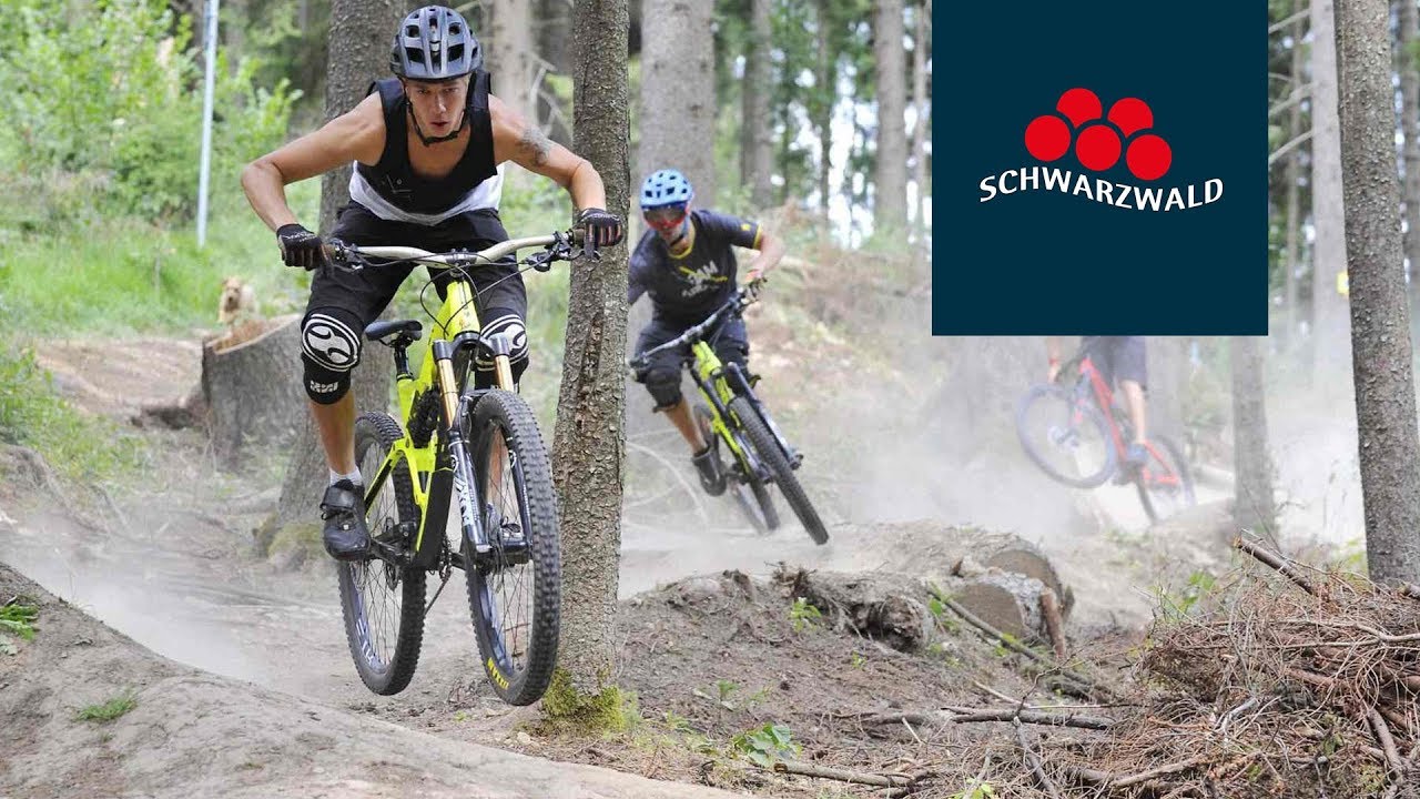 Schellenberg Trail Quellregion Donau