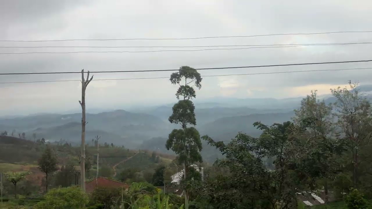 The Most Scenic Train Ride in the World: Breathtaking Views of Nanu Oya to Ella, Sri Lanka 🇱🇰