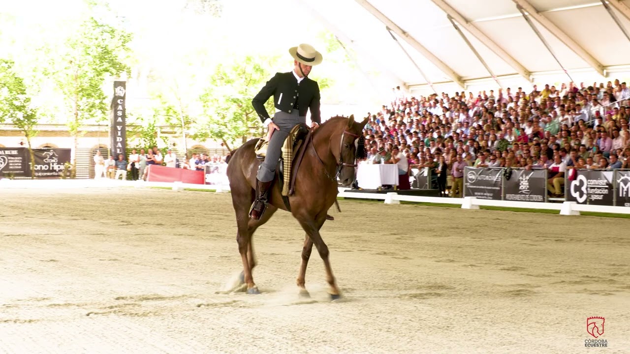 Jose R Perez Maravilla Rando master