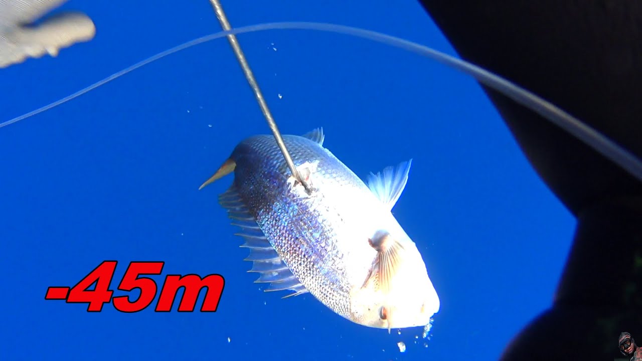 Pescasub: agguato profondo al dentice 🤩 Spesrfishing Sardinia