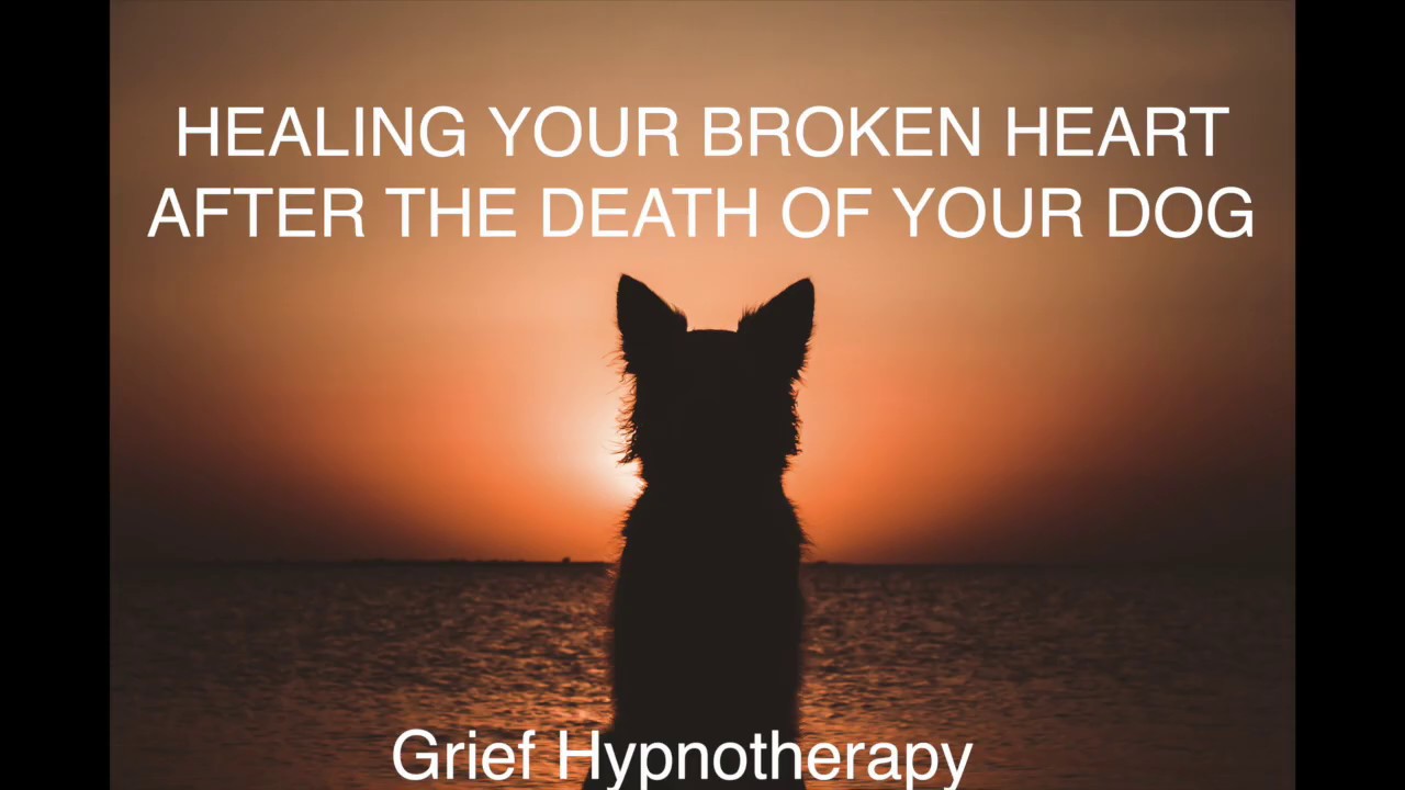 HEALING YOUR BROKEN HEART AFTER THE DEATH OF YOUR DOG