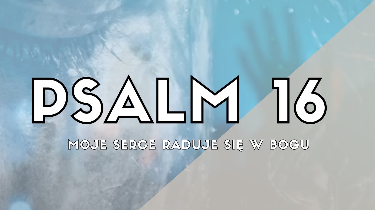 Psalm 16 (Moje serce raduje się w Bogu) - Psalm Na Każdy Dzień - Psalm śpiewany 🎵