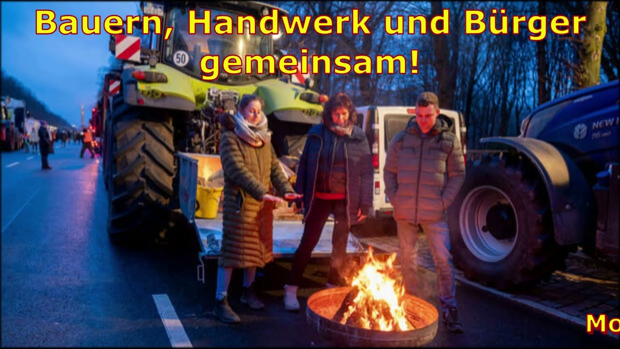 BULLDOGS VORAUS
