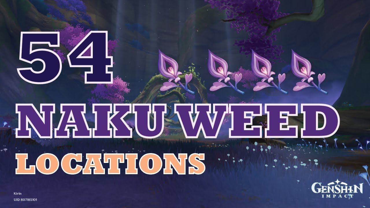 NAKU WEED LOCATIONS | Lokasi Naku Weed | Genshin Impact