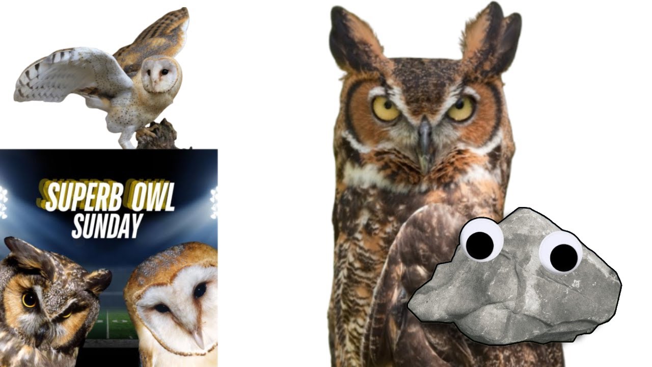 Happy Superb Owl Sunday!!! | Puzzles