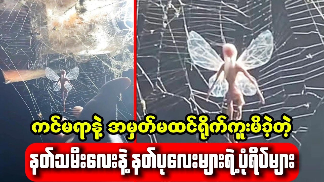 ကင်မရာထဲမတော်တဆ ရောက်လာတဲ့ နတ်သမီးလေးနဲ့ နတ်ပုလေးများ