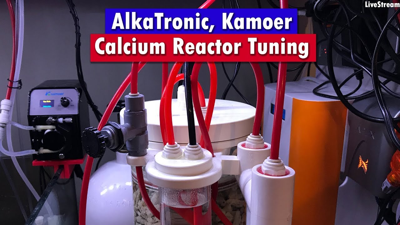 Calcium reactor Tuning - Alkatronic, Kamoer FX-STP Vertex Calcium Reactor Tuning and setup