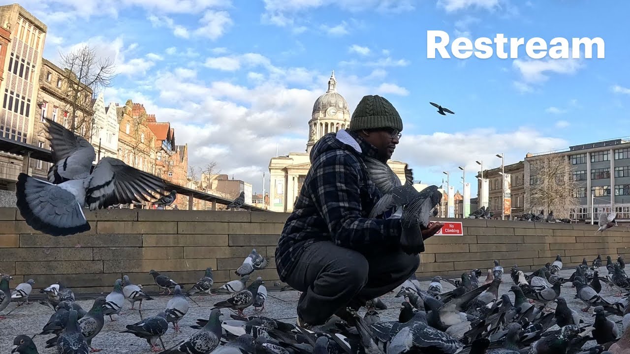 FEEDING URBAN PIGEONS IN DERBY CITY UNITED KINGDOM🇬🇧AS A DAILY ROUTINE