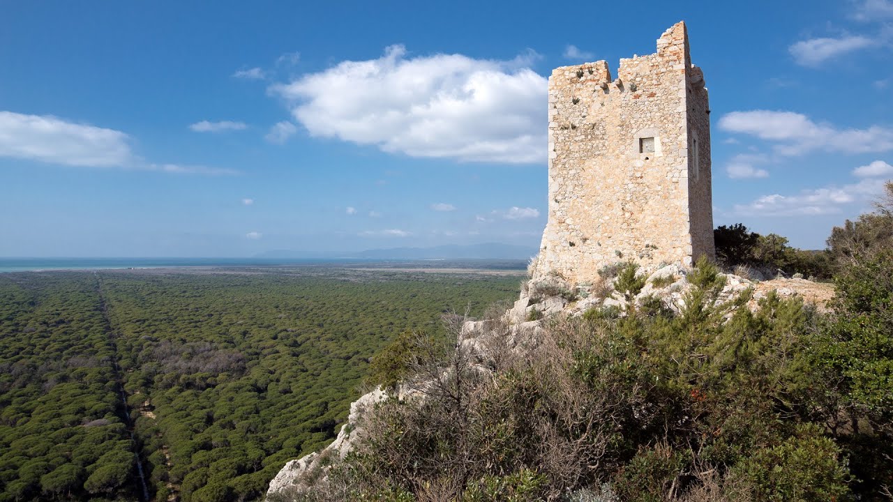 Parco Naturale della Maremma: Le Torri